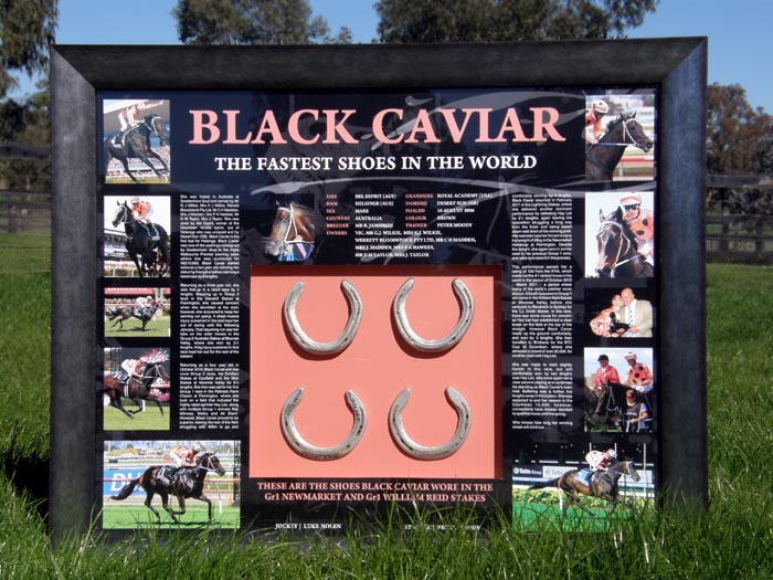 Black_Caviar